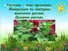 Рослини. Тварини. Гриби. Бактерії. Віруси