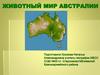 Животный мир Австралии