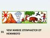 Тест. Отличие живого от неживого в природе