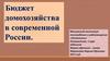 Бюджет домохозяйств современной России