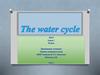 The water cycle