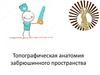 Топографическая анатомия забрюшинного пространства