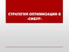 Стратегия оптимизации в «Сибур»