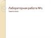 Лабораторная работа. Гаметогенез