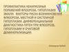 Профилактика некариозных поражений:флоороза, гипоплазия эмали. Факторы риска возникновения флюороза, местной и системной