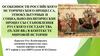 Особенности российского исторического процесса. Этнокультурные и социально-политические процессы становления