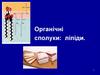 Органічні сполуки: ліпіди