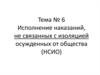 Исполнение наказаний, не связанных с изоляцией осужденных от общества (НСИО). Тема № 6