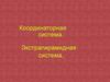 Координаторная система. Экстрапирамидная система,