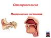 Отоларингология. Неотложные состояния