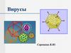 Вирусы. История открытия