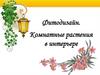 Фитодизайн. Комнатные растения в интерьере