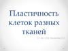 Пластичность клеток разных тканей