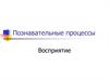 Познавательные процессы. Восприятие и его особенности