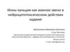 Ионы кальция, как важное звено в нейроцитотоксическом действии кадмия