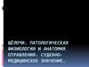 Щелочи. Патологическая физиология и анатомия отравления. Судебно-медицинское значение