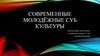 Современные молодёжные суб культуры
