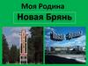 Село Новая Брянь