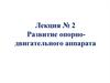 Развитие опорно-двигательного аппарата