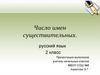 Число имен существительных