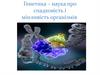 Генетика – наука про спадковість і мінливість організмів