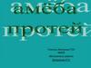 Царство Животные, Подцарство – Простейшие, Класс – Саркодовые, Вид – Амёба