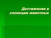 Достижения в селекции животных