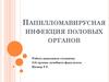 Папилломавирусная инфекция половых органов