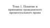 Понятие и принципы гражданского процессуального права