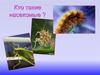 Кто такие насекомые. 1-2 класс
