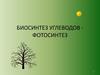 Биосинтез углеводов - фотосинтез