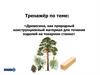 Тренажёр по теме "Древесина как природный конструкционный материал"