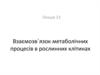 Взаємозв΄язок метаболічних процесів в рослинних клітинах