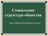 Социальная структура общества