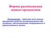 Формы размножения живых организмов