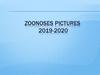Zoonoses pictures 2019-2020