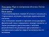 Ядро и электронная оболочка. Состав атомных ядер
