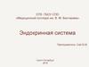 Эндокринная система человека