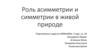 Роль асимметрии и симметрии в живой природе