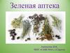 Зеленая аптека