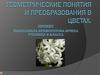 Геометрические понятия и преобразования в цветах