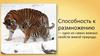 Способность к размножению у животных