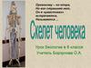 Значение опорно-двигательной системы.  8 класс