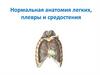 Нормальная анатомия легких, плевры и средостения