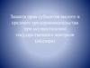 Защита прав субъектов малого и среднего предпринимательства при осуществлении государственного контроля