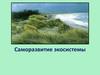 Саморазвитие экосистемы