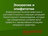 Эпизоотии и эпифитотии
