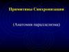 Примитивы синхронизации. Типы синхронизирующих примитивов