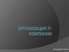 Организация IT-компании