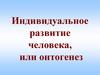 Индивидуальное развитие человека, или онтогенез